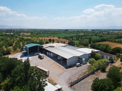 Malatya Fabrika, Tesis